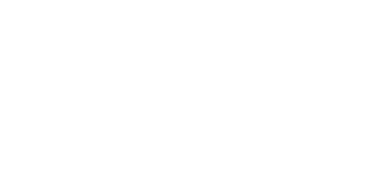The Landing Zone Logo